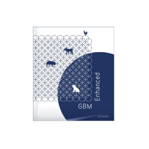 GBM Enhanced