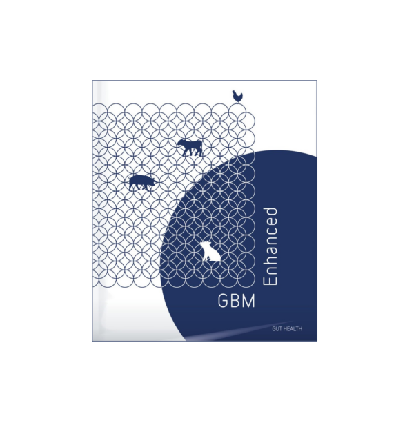 GBM Enhanced